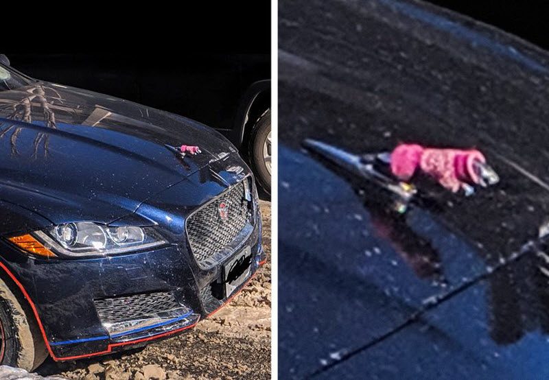 17 фотографий, на которых происходит что-то очень странное (17 фото)