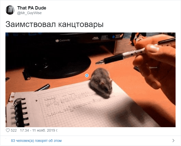 Тред в Твиттере: "А потом меня уволили" (20 фото)