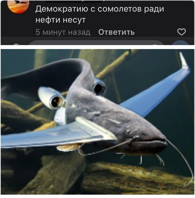 Пользователи, совершенно забывшие о грамотности в Сети (15 фото)