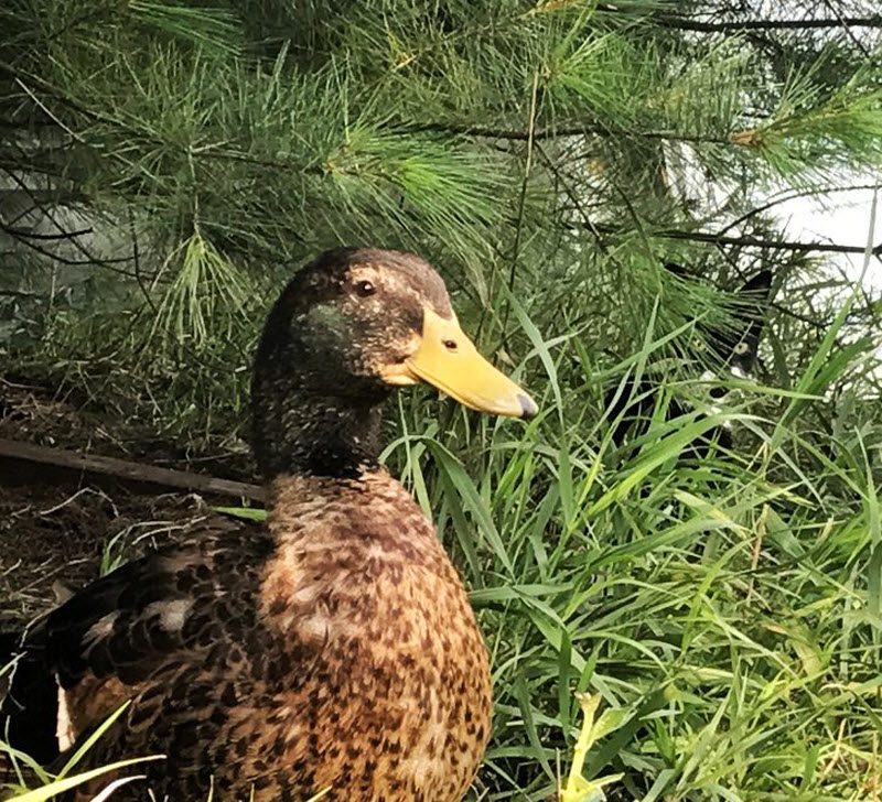 17 фотографий, на которых происходит что-то очень странное (17 фото)