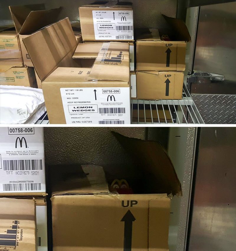 17 фотографий, на которых происходит что-то очень странное (17 фото)