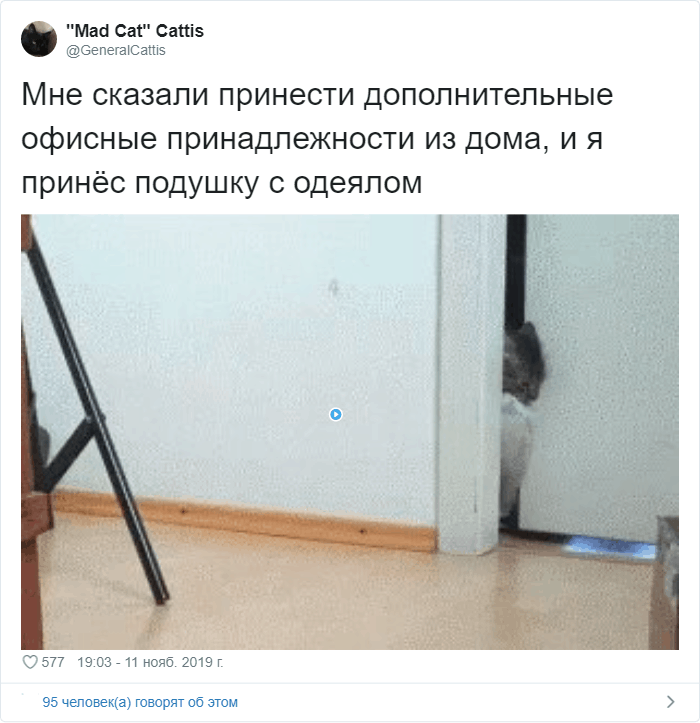 Тред в Твиттере: "А потом меня уволили" (20 фото)