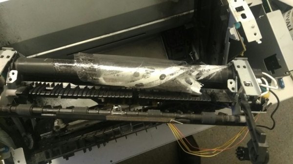 Люди, у которых все в порядке с самоиронией (12 фото)