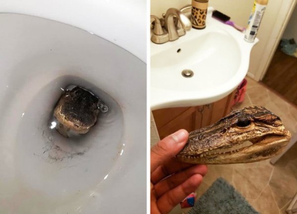 Ребята, которые жить не могут без розыгрышей (15 фото) Ребята, которые жить не могут без розыгрышей (15 фото)