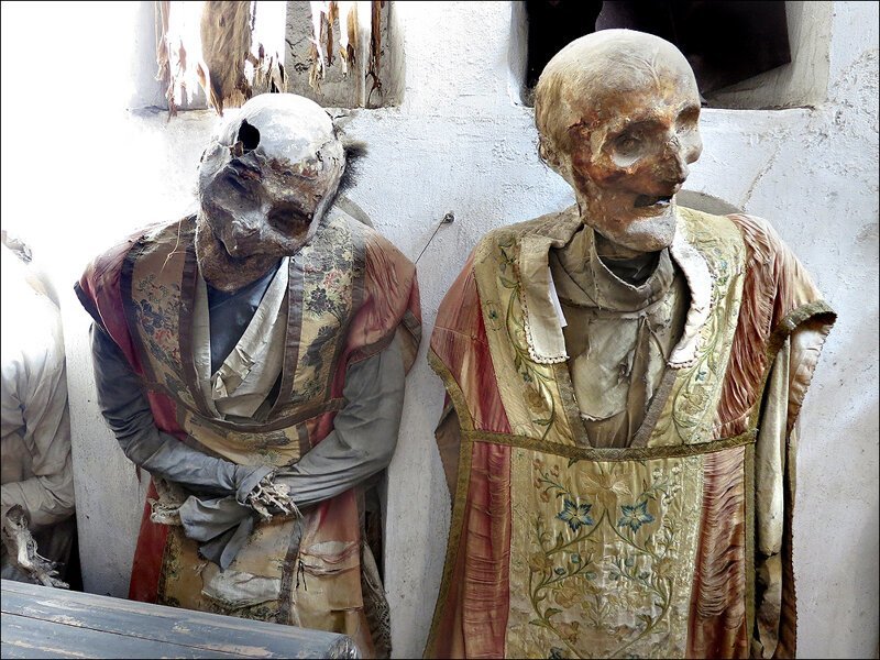 Не для слабонервных: топ-5 самых отвратительных и жутких музеев мира (30 фото)