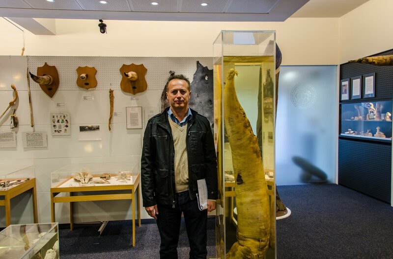 Не для слабонервных: топ-5 самых отвратительных и жутких музеев мира (30 фото)