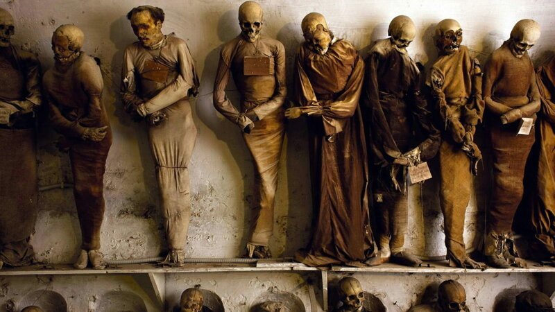 Не для слабонервных: топ-5 самых отвратительных и жутких музеев мира (30 фото)