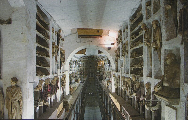 Не для слабонервных: топ-5 самых отвратительных и жутких музеев мира (30 фото)