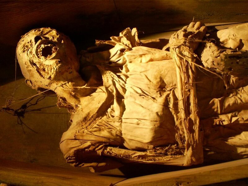 Не для слабонервных: топ-5 самых отвратительных и жутких музеев мира (30 фото)