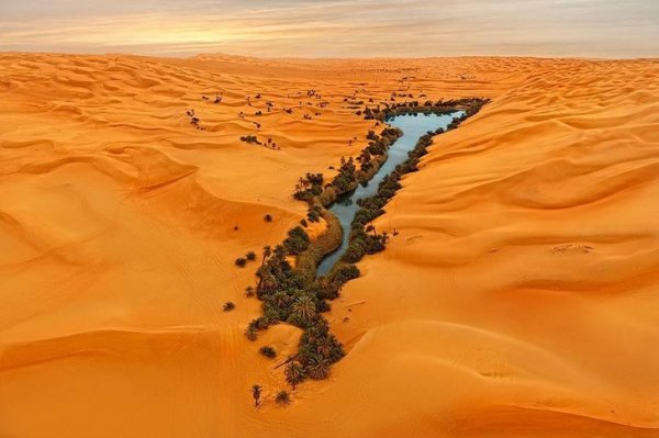 Фотоподборка с "вау" эффектом (15 фото) Фотоподборка с "вау" эффектом (15 фото)