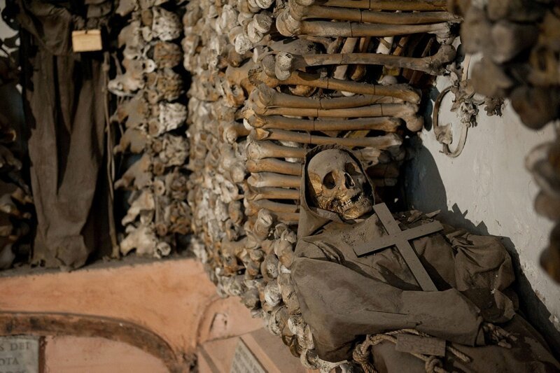 Не для слабонервных: топ-5 самых отвратительных и жутких музеев мира (30 фото)