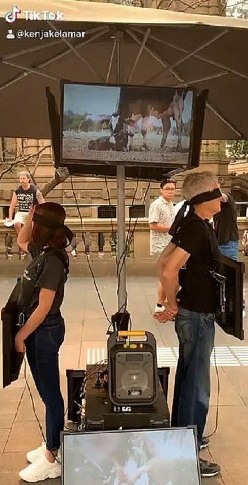 Парень с куриными крылышками «потроллил» веганов (4 фото + видео)