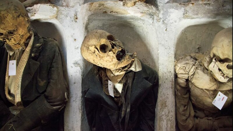 Не для слабонервных: топ-5 самых отвратительных и жутких музеев мира (30 фото)