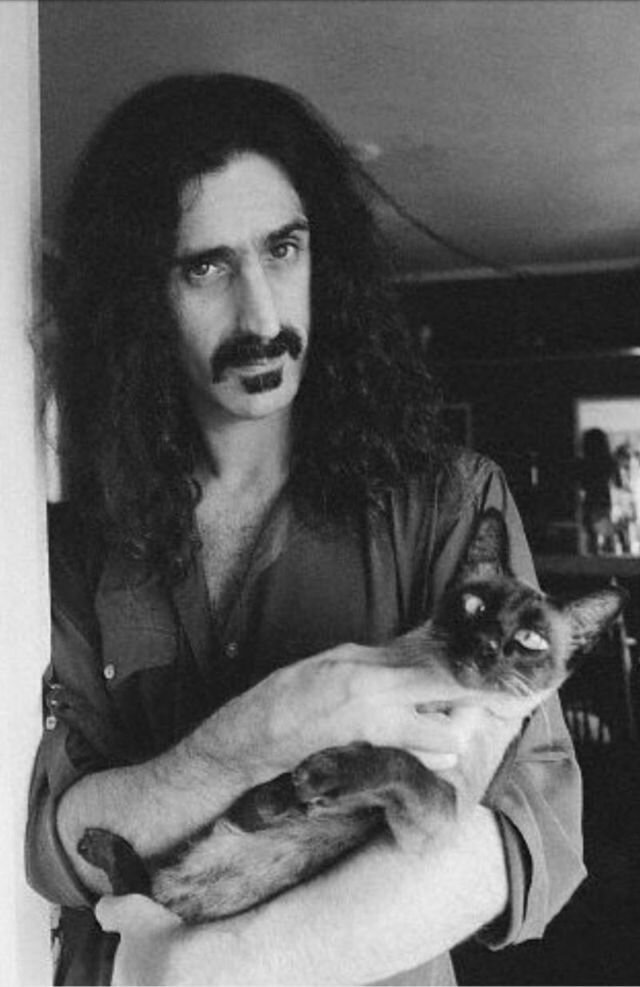 Смешные и странные фотографии Фрэнка Заппы (33 фото)