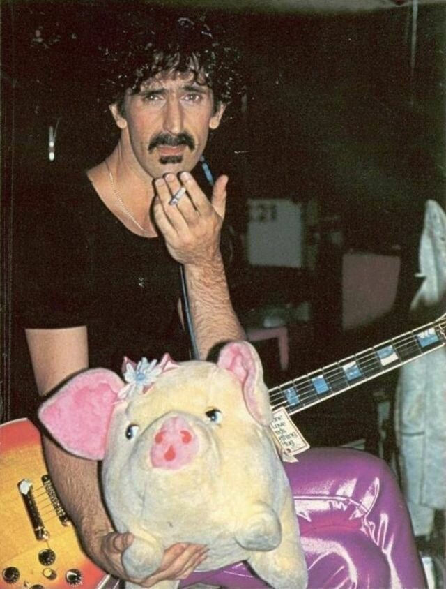 Смешные и странные фотографии Фрэнка Заппы (33 фото)