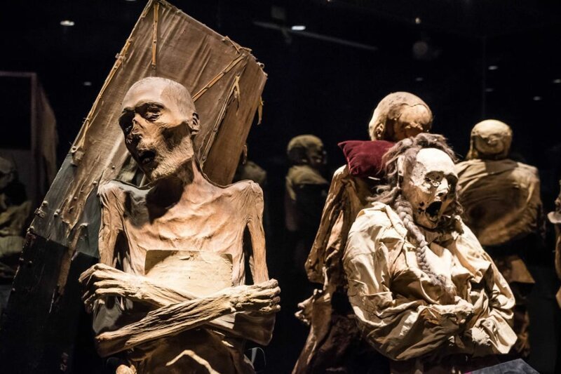 Не для слабонервных: топ-5 самых отвратительных и жутких музеев мира (30 фото)