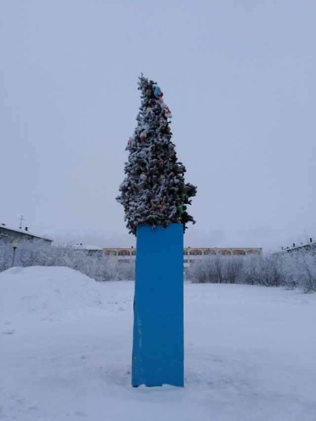 Новогодняя ёлка, которая у любого отобьет праздничное настроение (3 фото)