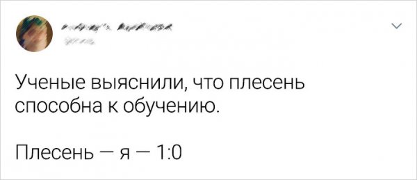 Саркастичные твиты от пользователей, которые "познали" взрослую жизнь (23 фото)