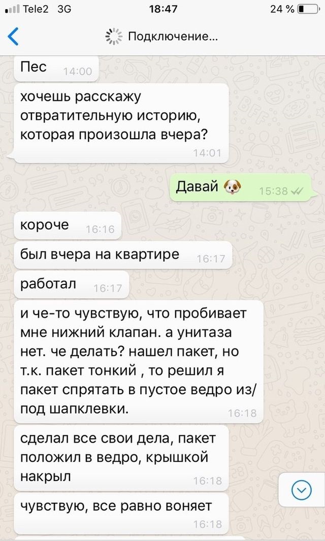 Очень сортирная история (3 скриншота)