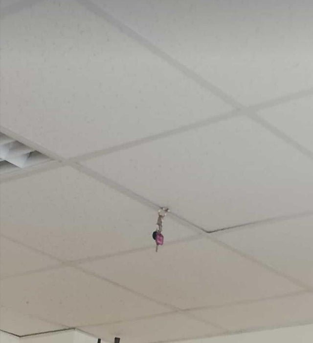 Фотографии, по которым ясно, что день у людей не задался (15 фото) Фотографии, по которым ясно, что день у людей не задался (15 фото)