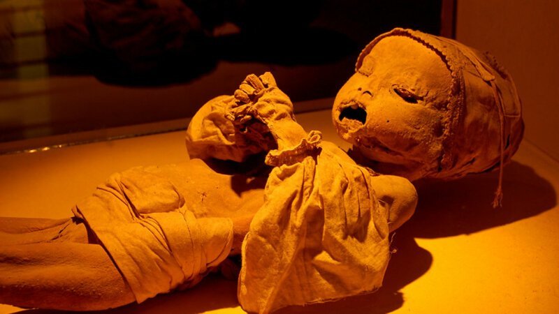 Не для слабонервных: топ-5 самых отвратительных и жутких музеев мира (30 фото)