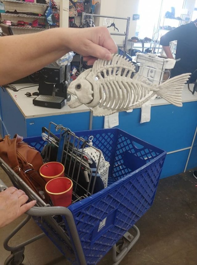 Очень странные находки на барахолках (15 фото)