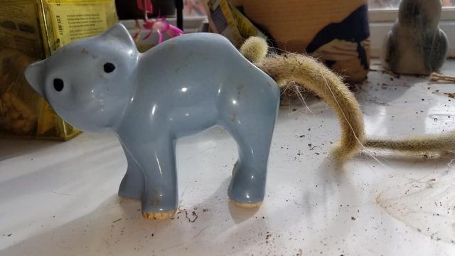 Очень странные находки на барахолках (15 фото)