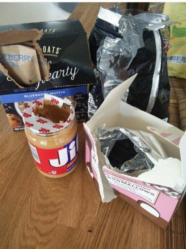 Прелести совместной жизни, от которых может случиться нервный срыв (15 фото)