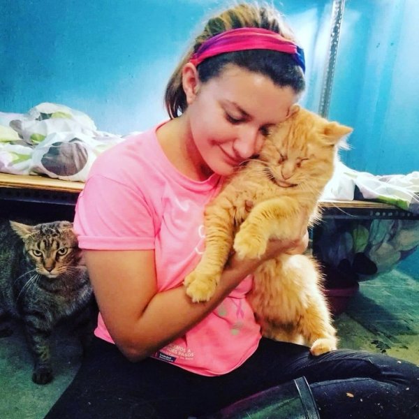 Подборка фото, где самое интересное происходит на заднем плане (20 фото)