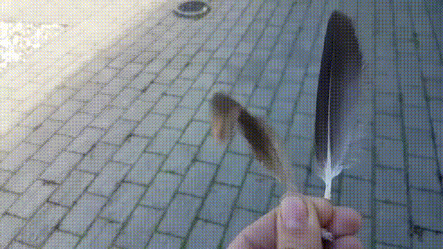 Подборка из рубрики "удивительное рядом" (23 фото)