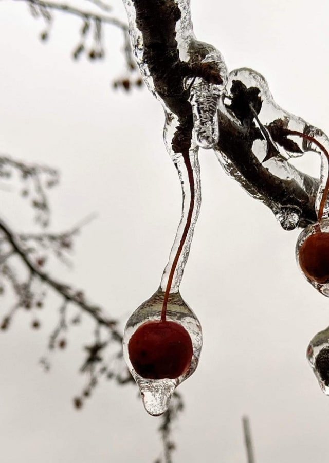 Подборка удивительных вещей (18 фото) Подборка удивительных вещей (18 фото)