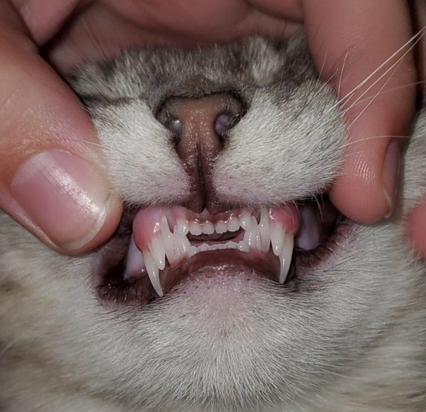 Подборка удивительных вещей (18 фото) Подборка удивительных вещей (18 фото)