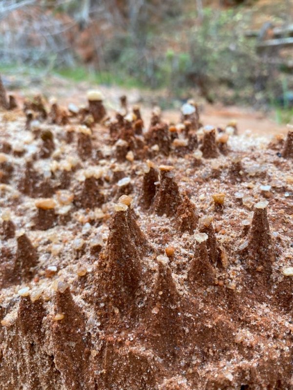 Подборка из рубрики "удивительное рядом" (23 фото)