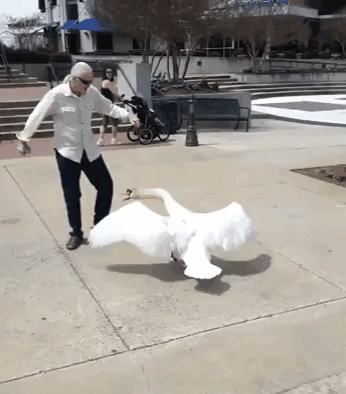 Подборка фото, где самое интересное происходит на заднем плане (20 фото)