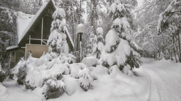 В соцетях активно обсуждают погоду и шутят про аномальную зиму в России (15 фото) В соцетях активно обсуждают погоду и шутят про аномальную зиму в России (15 фото)