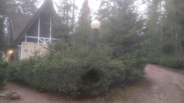 В соцетях активно обсуждают погоду и шутят про аномальную зиму в России (15 фото) В соцетях активно обсуждают погоду и шутят про аномальную зиму в России (15 фото)