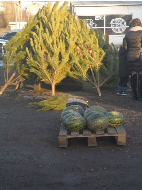 В соцетях активно обсуждают погоду и шутят про аномальную зиму в России (15 фото) В соцетях активно обсуждают погоду и шутят про аномальную зиму в России (15 фото)