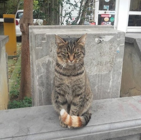 Подборка удивительных вещей (18 фото) Подборка удивительных вещей (18 фото)