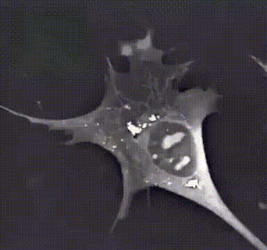 Подборка из рубрики "удивительное рядом" (23 фото)