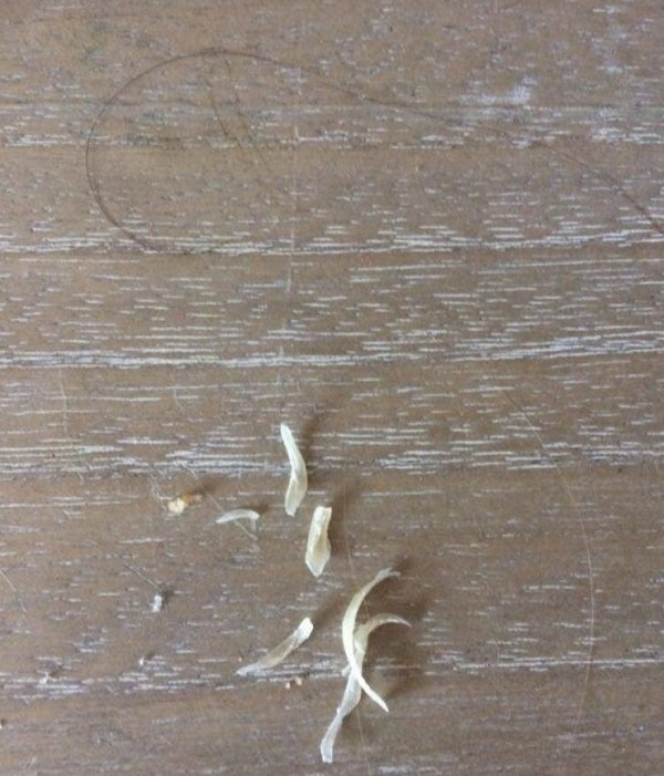 Прелести совместной жизни, от которых может случиться нервный срыв (15 фото)