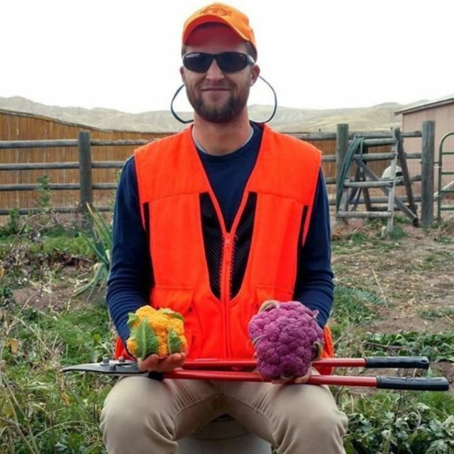 В Сети пользователи показали, как выглядит вегетарианская охота (20 фото)