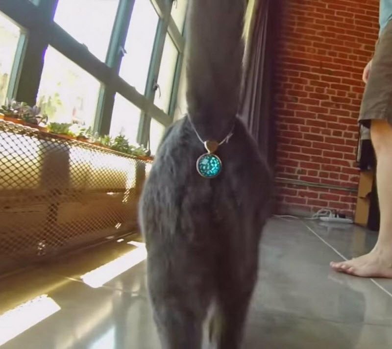 WTF: что тут происходит? (42 фото)