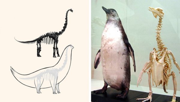 От этих пользователей ничего не утаишь (17 фото)