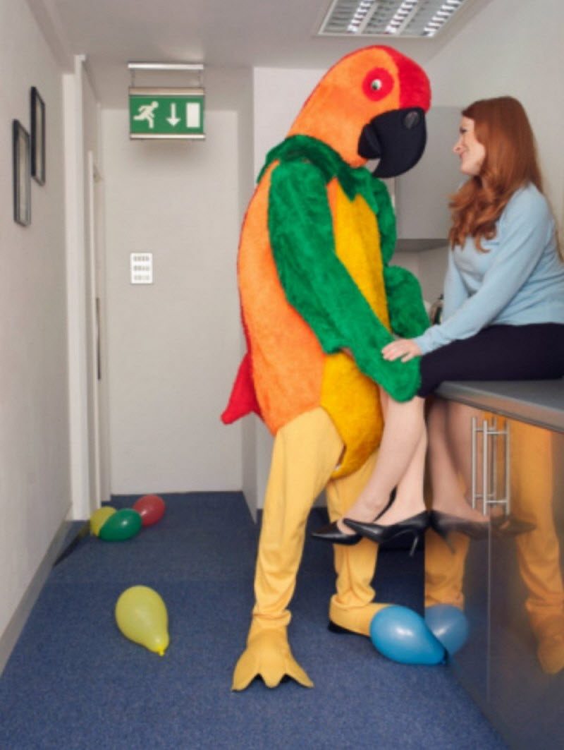 WTF: что тут происходит? (42 фото)