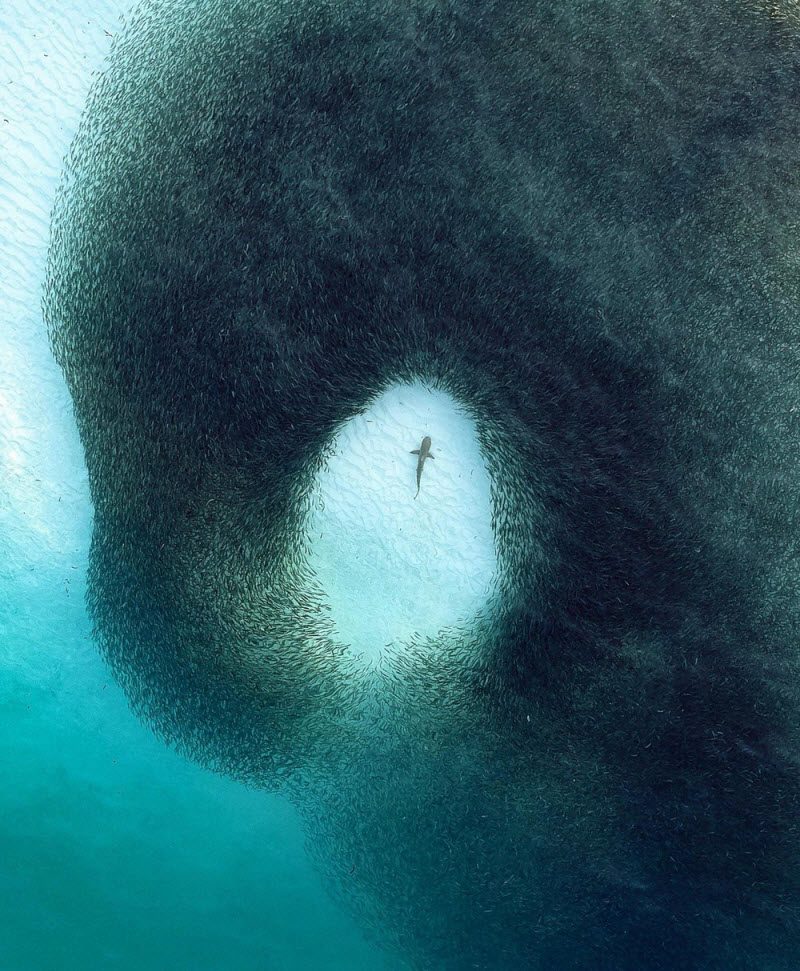 WTF: что тут происходит? (42 фото)