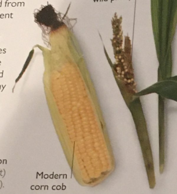 От этих пользователей ничего не утаишь (17 фото)