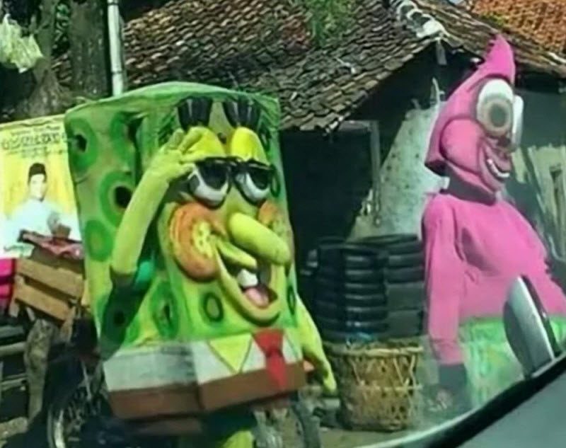 WTF: что тут происходит? (42 фото)