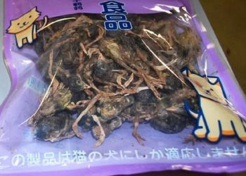 У путешественника из Китая отобрали сумку с дохлыми птицами (4 фото)