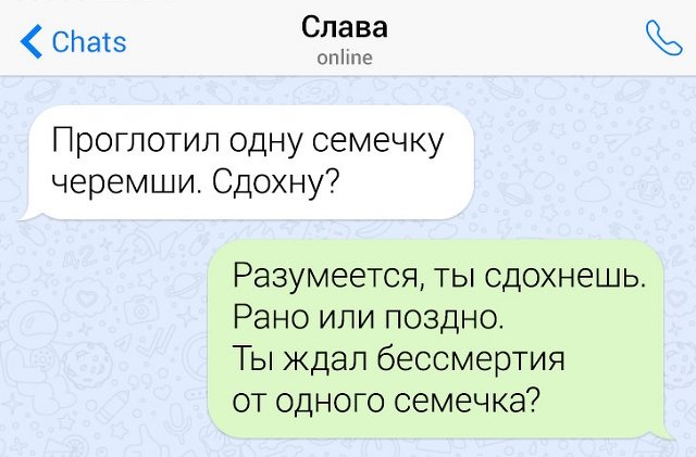 Подборка забавных и ехидных переписок (15 фото)