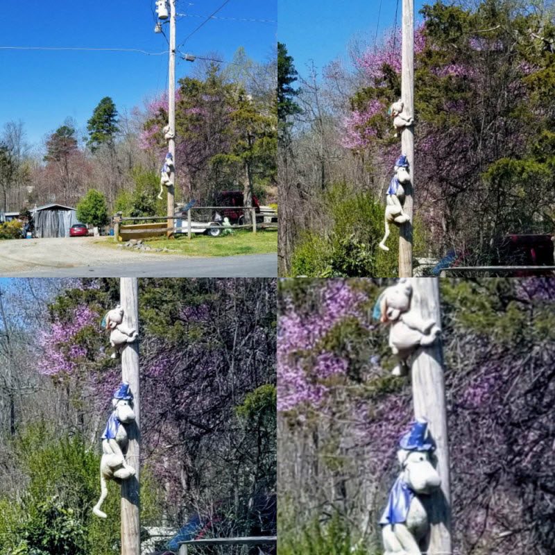 WTF: что тут происходит? (42 фото)